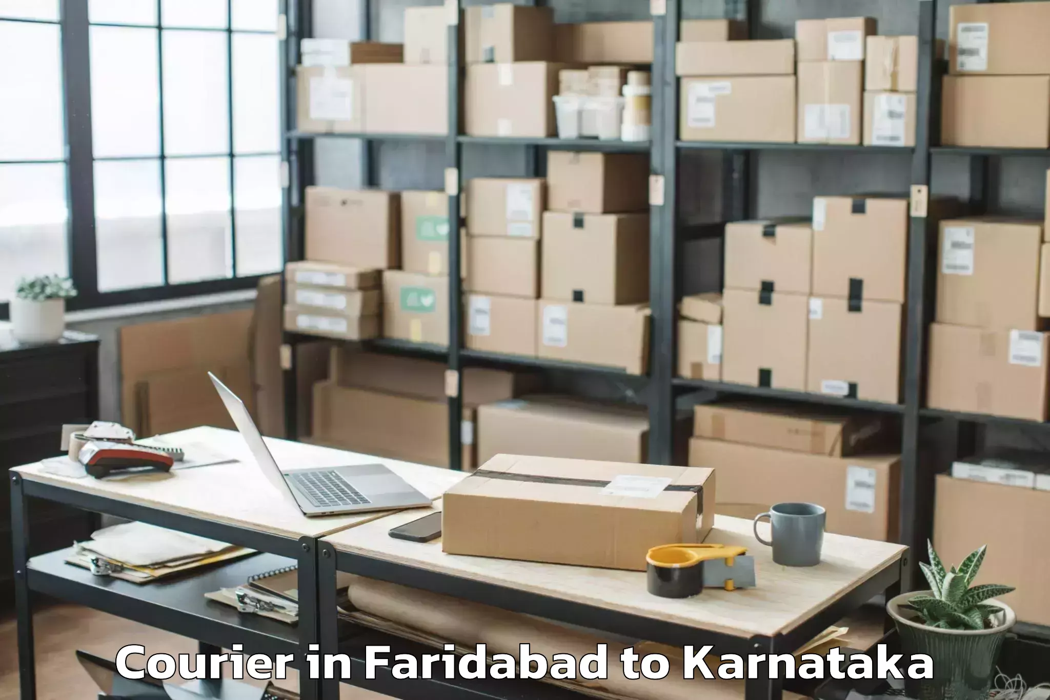 Easy Faridabad to Lingasugur Courier Booking